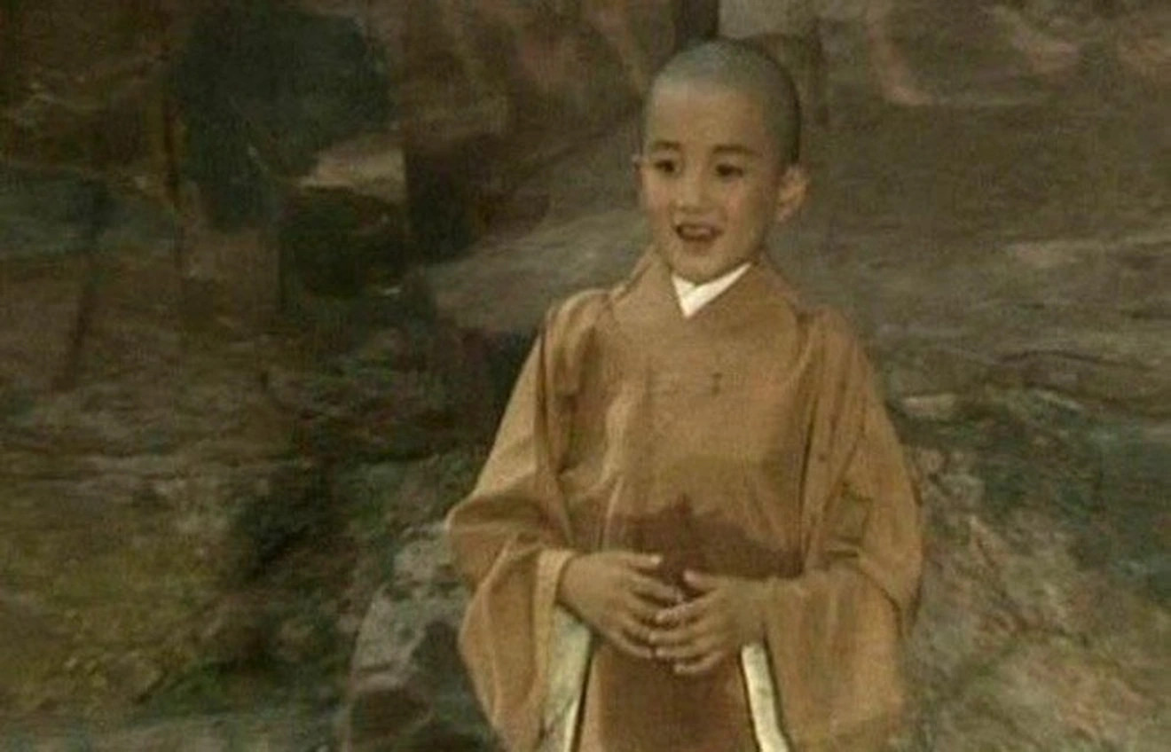 Năm 1983, khi mới 8 tuổi, Thái Viễn Hàng tham gia thử vai cho phim Tây Du Ký