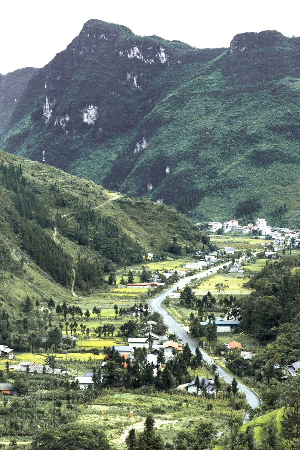 Bức ảnh chụp tại địa điểm ở Hà Giang Việt Nam 'phát sốt' trong những ngày qua vì giống Thụy Sĩ.