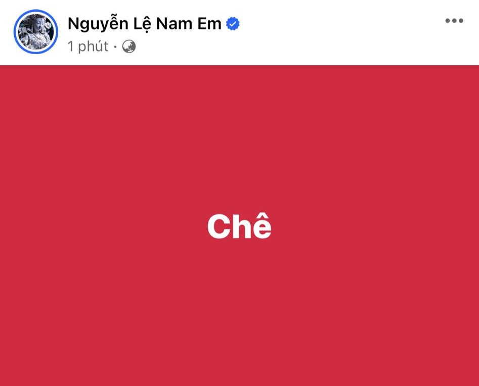 Nam Em bức xúc tố Tân Hoa hậu Bùi Quỳnh Hoa “chơi xấu” chị em: “Em có tiền mà, cái gì em làm chả được” - ảnh 2