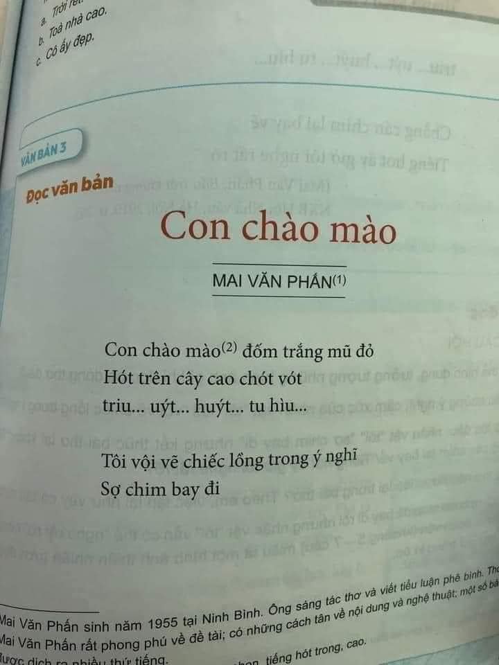 Tranh cãi bài thơ trong SGK tiếng Việt lớp 6 đến người lớn còn khó hiểu: 'Triu… uýt… huýt… tu hìu…'