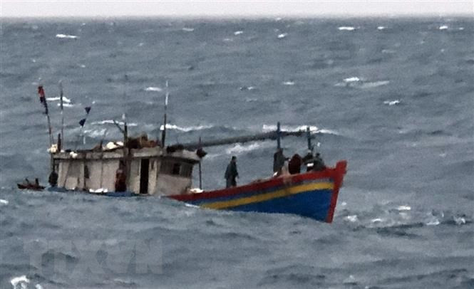 Sóng đánh chìm tàu cá Quảng Nam, khiến nhiều ngư dân mất tích.