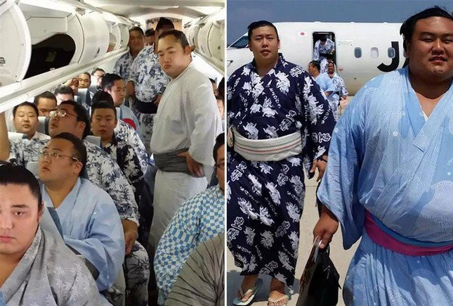 Các sumo có cân nặng trung bình 120kg, trong khi hành khách bình thường chỉ có cân nặng trung bình 70kg.