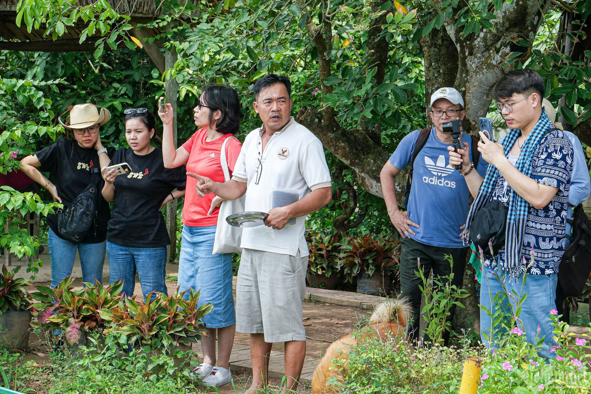 Du khách từ xa đến tham quan mô hình cá 'diễn xiếc' độc lạ (Ảnh Vietnamnet)