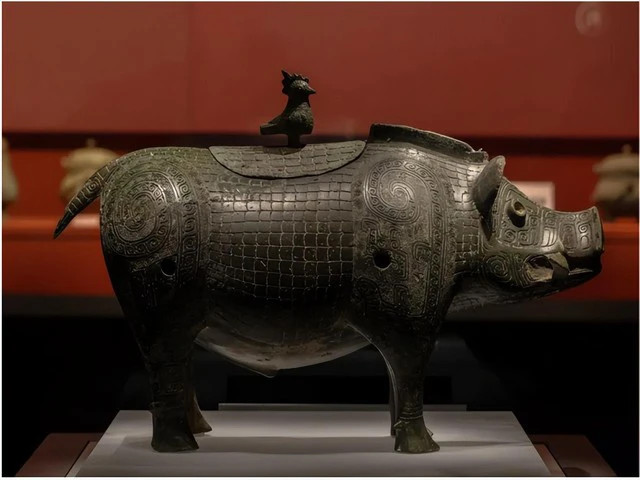 Cận cảnh con lợn đồng được 2 cha con ông Chu đào được