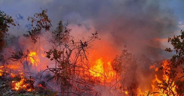 Khu đất rẫy của một hộ dân tại Đắk Lắk bỗng dưng bốc cháy nhiều vị trí