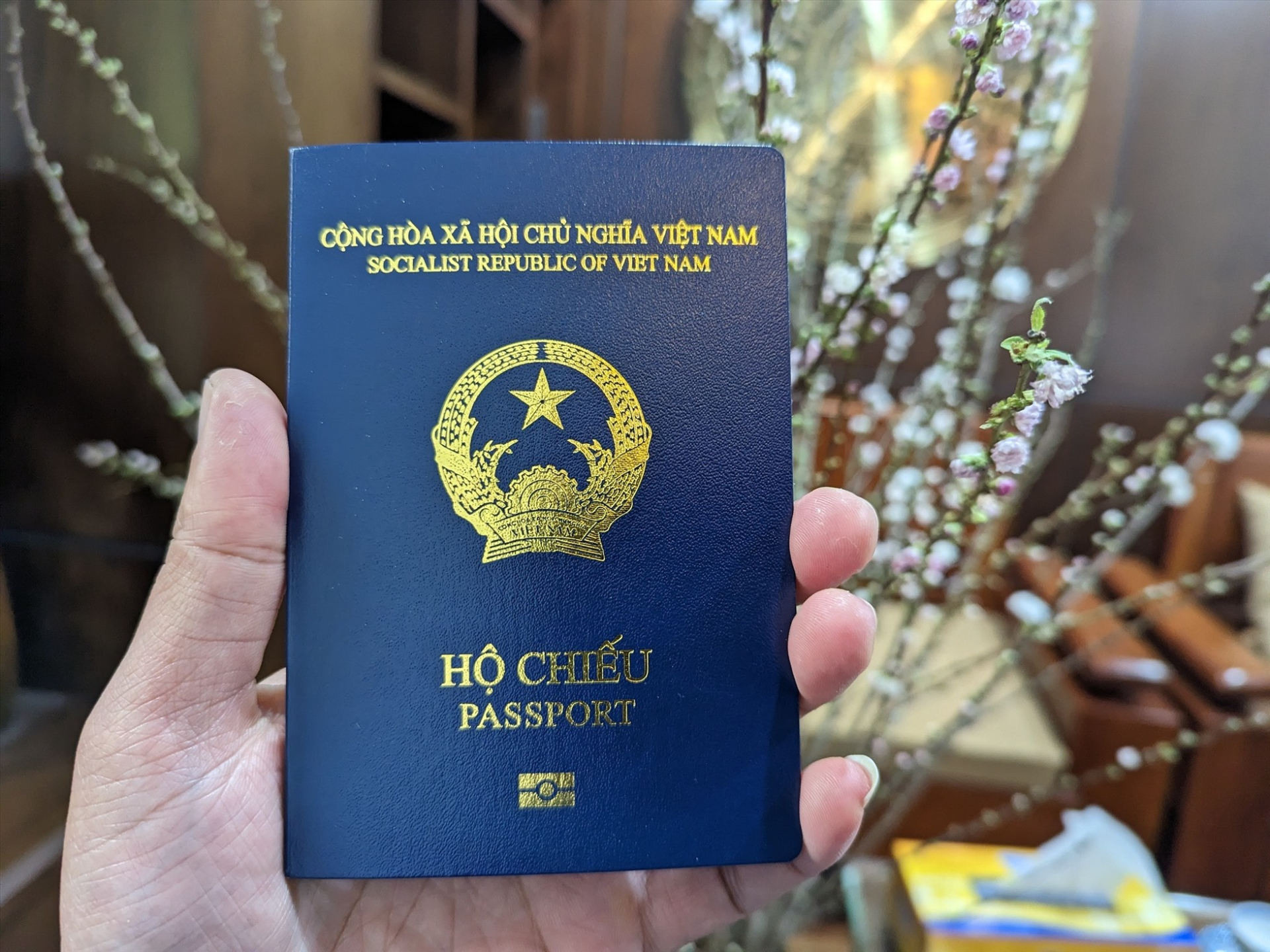 Năm 2024: Không cần xin Visa, hộ chiếu Việt Nam có thể đi được những nước nào? - ảnh 2