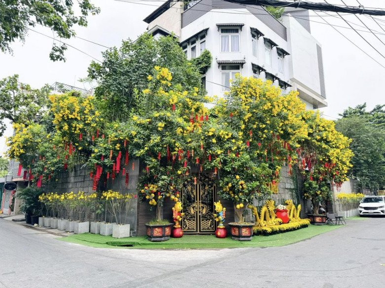 Sao Việt “dát vàng” biệt thự đón năm mới: Đàm Vĩnh Hưng trưng rồng vàng cơ ngơi 60 tỷ, nhà sao nữ phủ ánh kim - ảnh 2