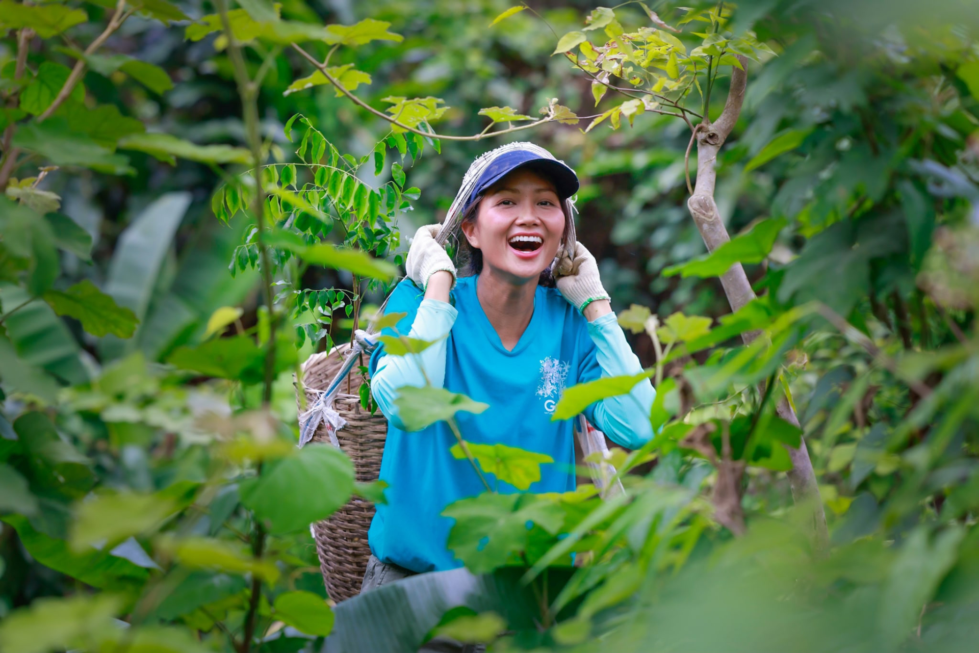 H'Hen Niê trồng rừng ở Vườn quốc gia Bến En, Thanh Hóa