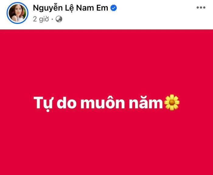 Sau khi cãi nhau với chồng sắp cưới, Nam Em đăng trạng thái tuyên bố độc thân.