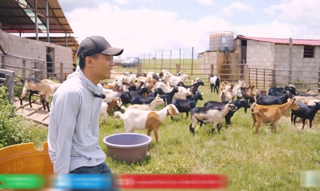 Quang Linh Vlog sốc nặng việc chăn nuôi không mấy thuận lợi.