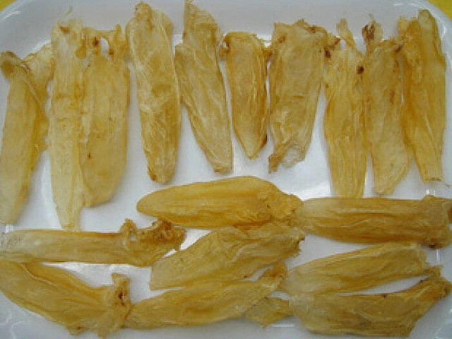 Bong bóng cá sủ vàng được dùng làm chỉ khâu tự tiêu trong y học có giá trị hàng chục ngàn USD tùy theo kích thước.