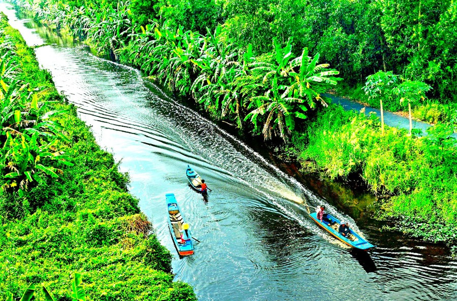 Khu rừng của Việt Nam được công nhận quý hiếm trên thế giới, người Việt không đi 1 lần quá tiếc - ảnh 3
