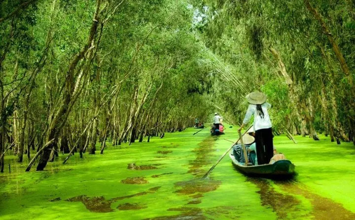 Khu rừng của Việt Nam được công nhận quý hiếm trên thế giới, người Việt không đi 1 lần quá tiếc - ảnh 6