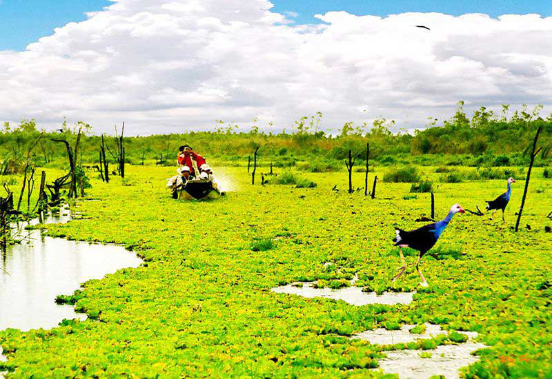 Vườn quốc gia U Minh Hạ được UNESCO công nhận là 1 trong 3 vùng lõi của Khu dự trữ sinh quyển Thế giới Mũi Cà Mau.