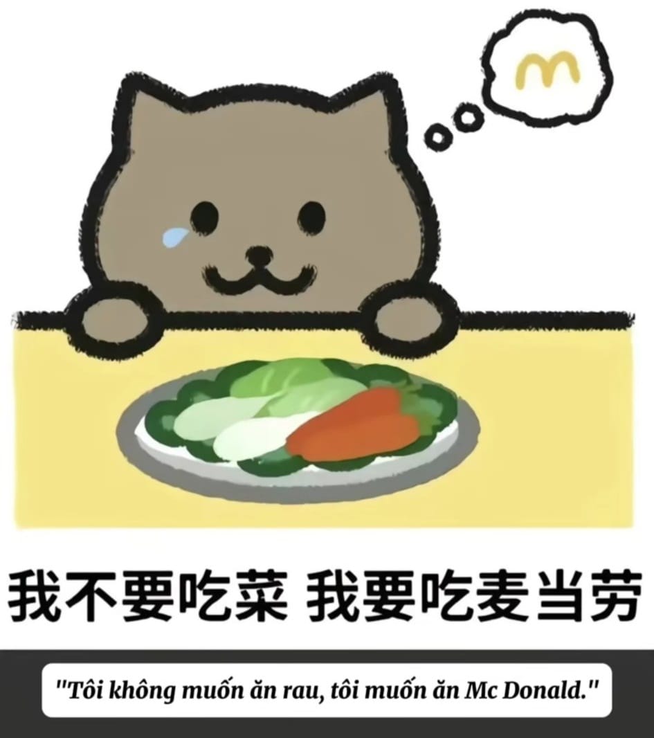 Tranh cãi một bộ phận giới trẻ Việt Nam bắt trend Trung Quốc thả thức ăn nhanh xuống hồ cho Mèo Béo - ảnh 3