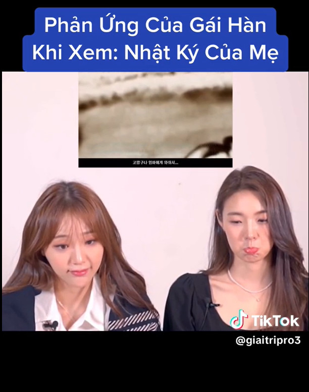 Bài hát Việt khuynh đảo thế giới khiến khán giả nước ngoài bật khóc khi nghe - ảnh 3