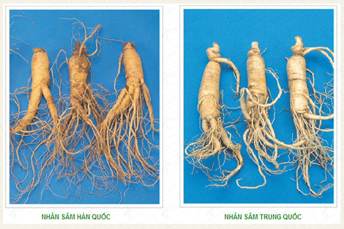 10 loại thực phẩm Trung Quốc được làm giả nhiều nhất, người Việt tiêu thụ đến 9 loại - ảnh 10