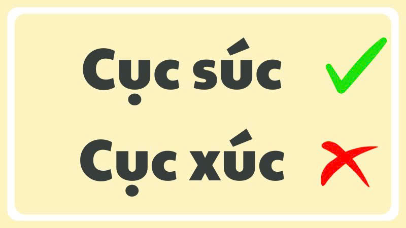 Cục súc hay cục xúc là đúng chính tả? 90% người dùng sai mà không biết - ảnh 2