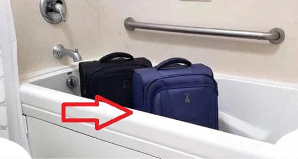 Đặt vali vào phòng tắm để tránh côn trùng.