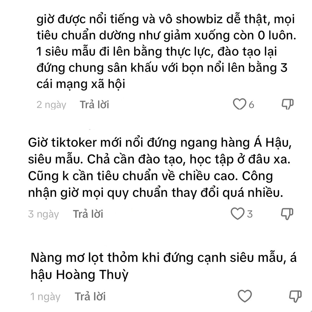 Sự xuất hiện của nàng mơ trong show thời trang gây không ít tranh cãi