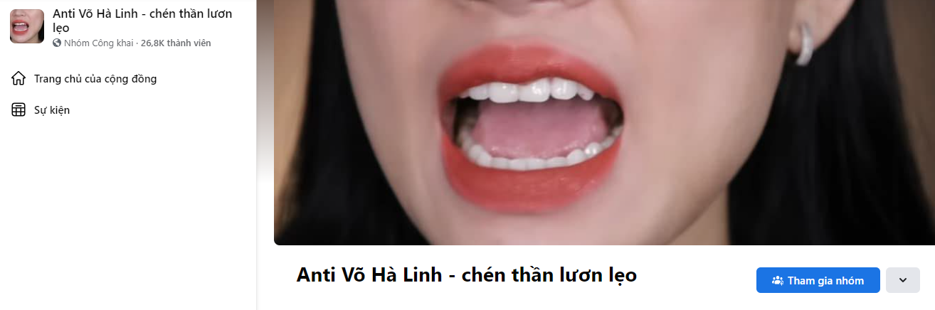 Ngay lập tức, Võ Hà Linh bị lập group anti-fan với lượng người tham gia đông đảo.