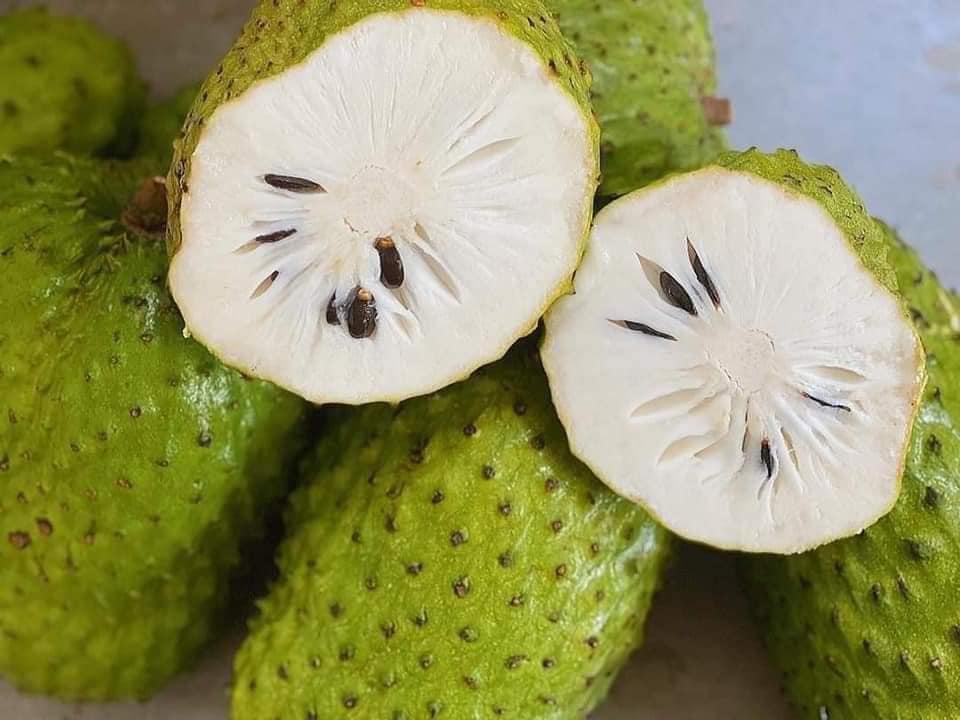 Mãng cầu là loại trái cây mùa hè quen thuộc của người Việt.