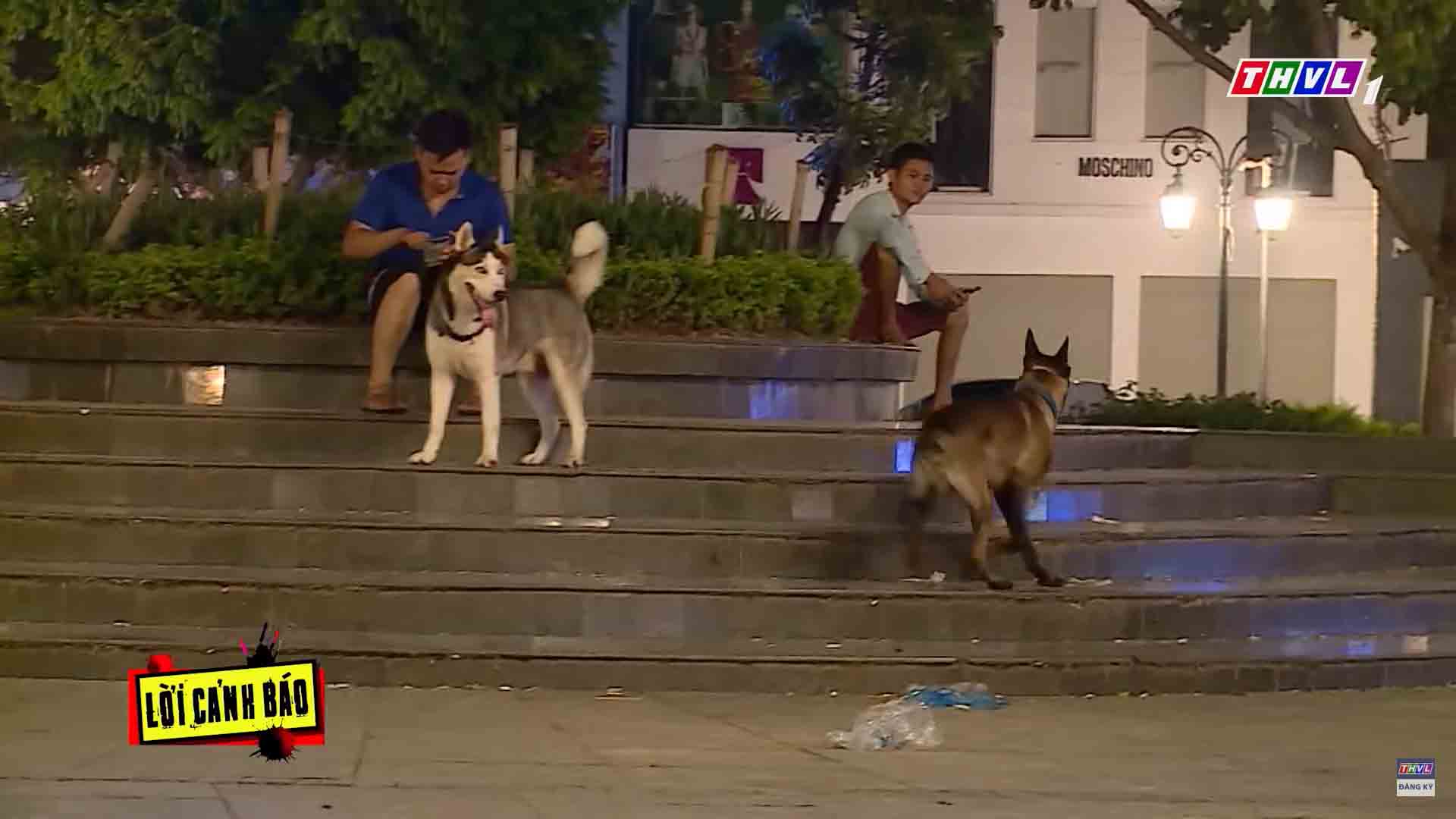 Ngoài việc tiêm phòng cho chó mèo định kỳ, người nuôi cần lưu ý không thả rông, khi ra đường chó, mèo cần phải được rọ mõm và đeo xích, vệ sinh sạch sẽ chuồng nuôi.