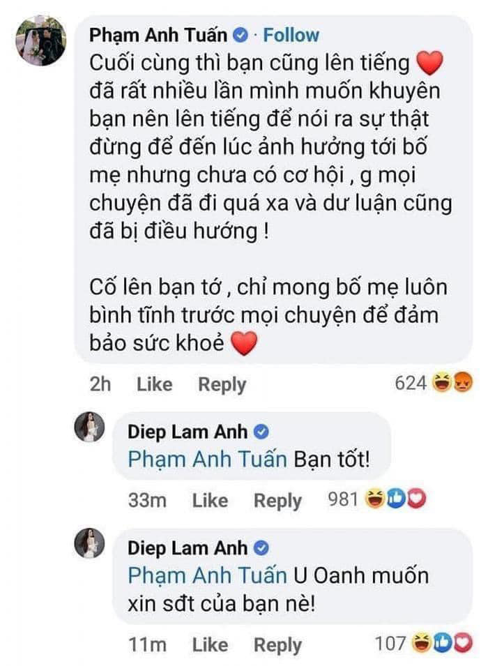 Diễn viên Anh Tuấn là sao Việt đầu tiên lên tiếng bênh vực chồng cũ Diệp Lâm Anh. Ảnh: FBNV