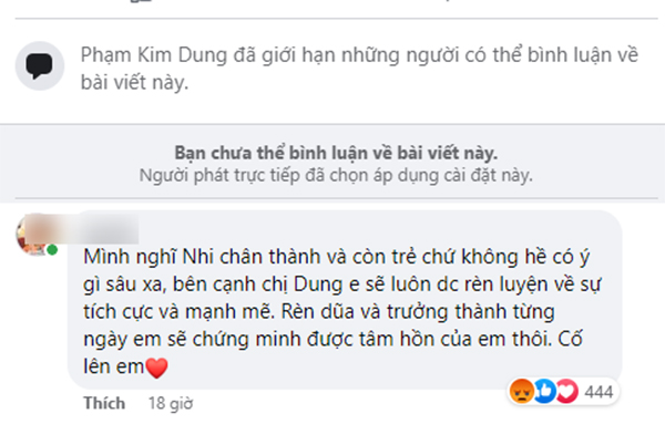 Dì Dung buộc phải khóa bình luận công khai khi chia sẻ các bài viết liên quan đến Ý Nhi trên trang cá nhân. Ảnh: Chụp màn hình