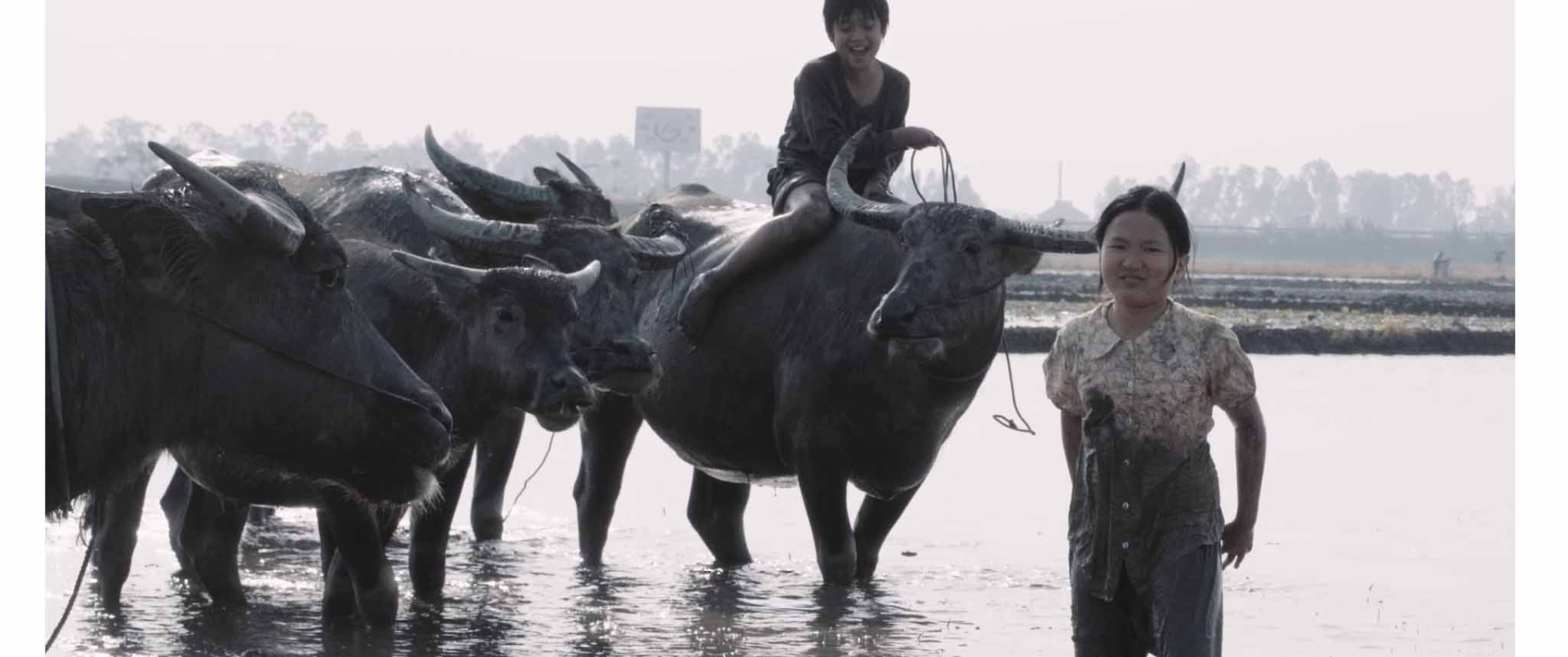 Trong phim, Cò là một cậu bé lém lỉnh, láu cá, thông minh và thường hay tị nạnh với An.