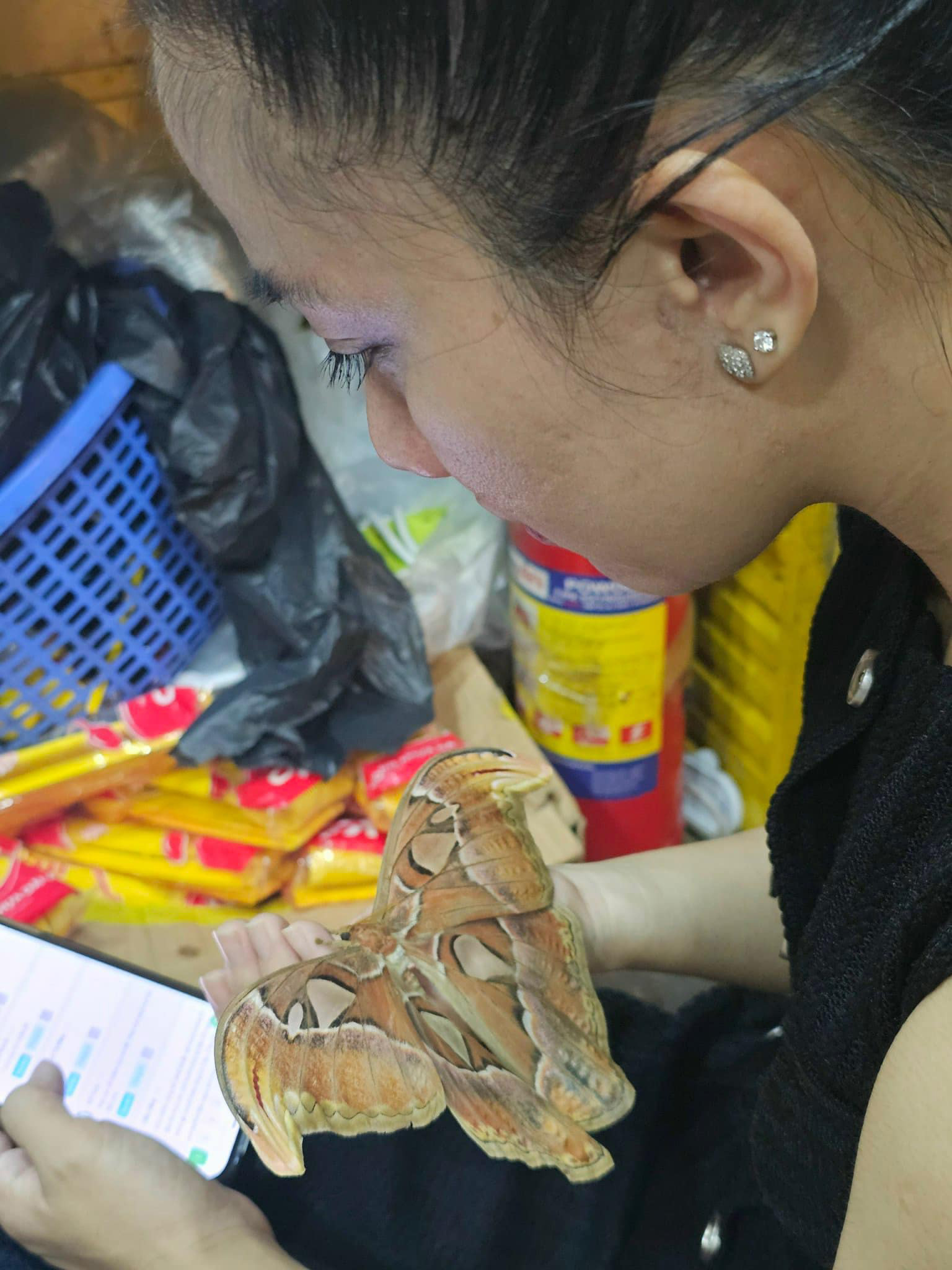 Con bướm đậu trên tay Quỳnh Quỳnh không chịu bay đi. Ảnh: FBNV