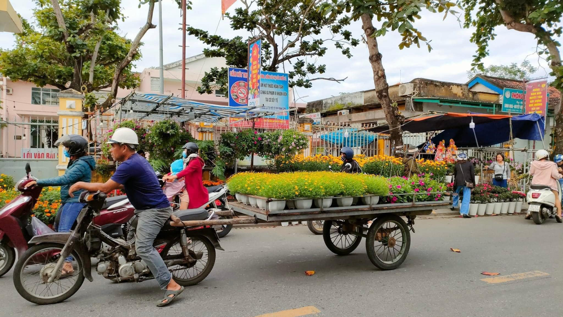 Nghề chở cây cảnh thuê tất bật những dịp cận Tết. Ảnh: Thành phố Hội An