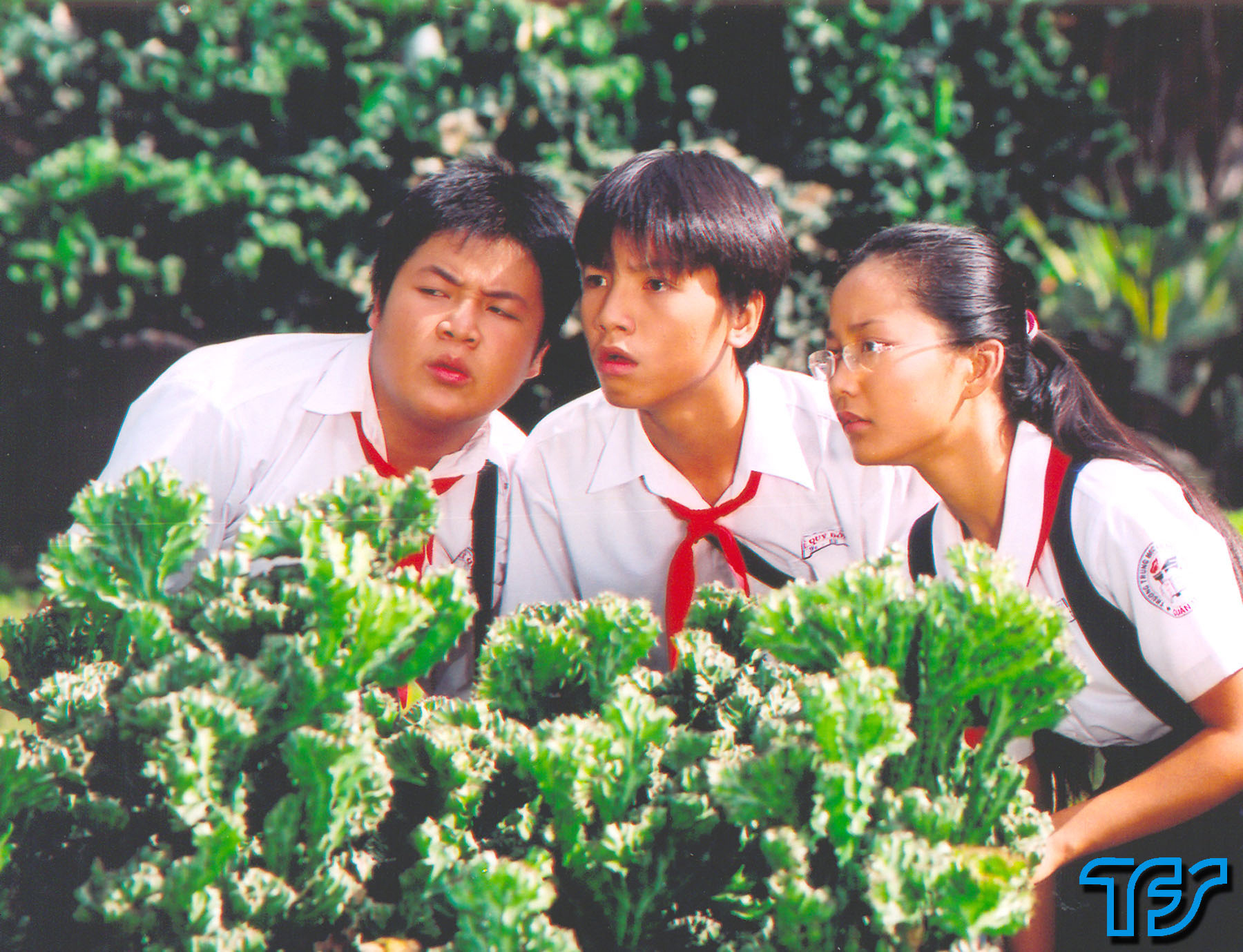 'Kính Vạn Hoa' là bộ phim truyền hình dành cho tuổi teen ăn khách nhất những năm 2004.