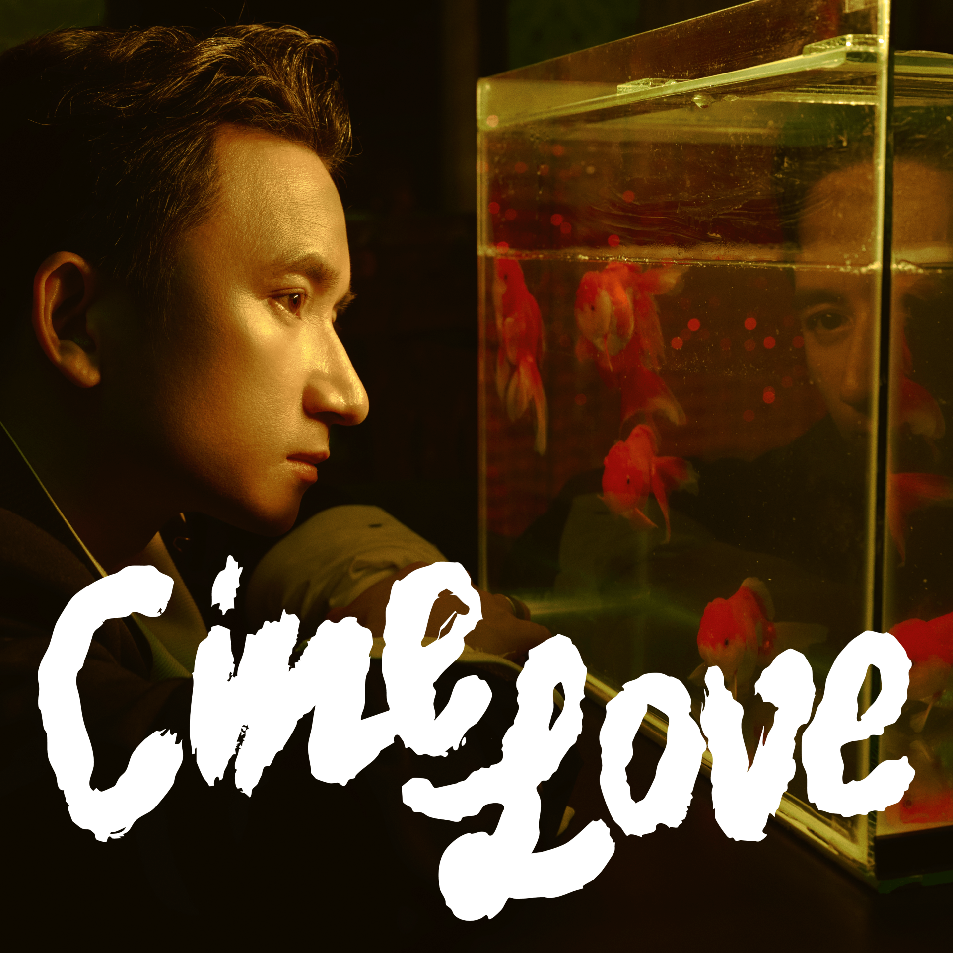 Album CineLove gồm 9 ca khúc