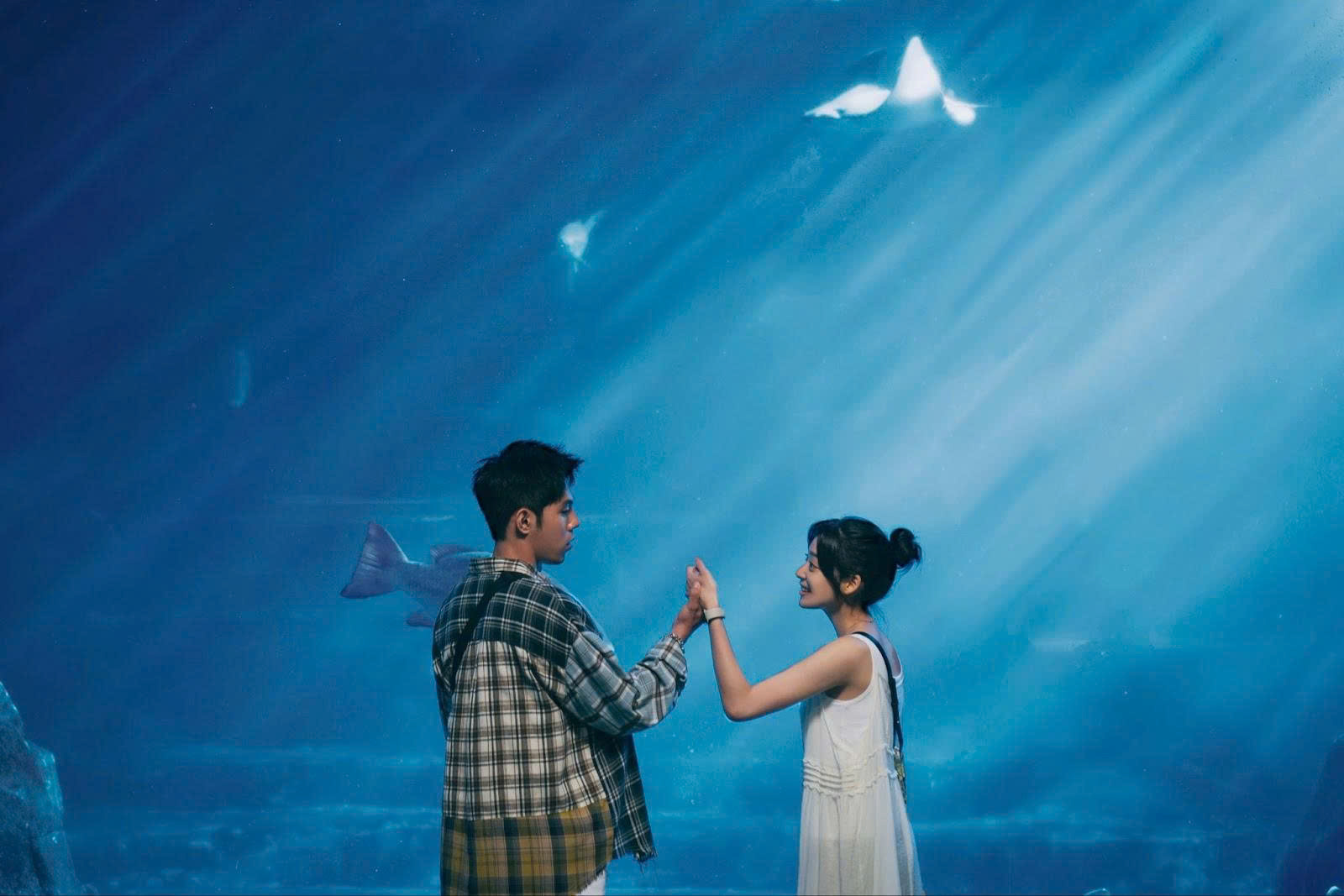 “Tôi có bệnh mới thích cậu” cực phẩm phim thanh xuân xứ đài cập bến phòng vé Việt - ảnh 3