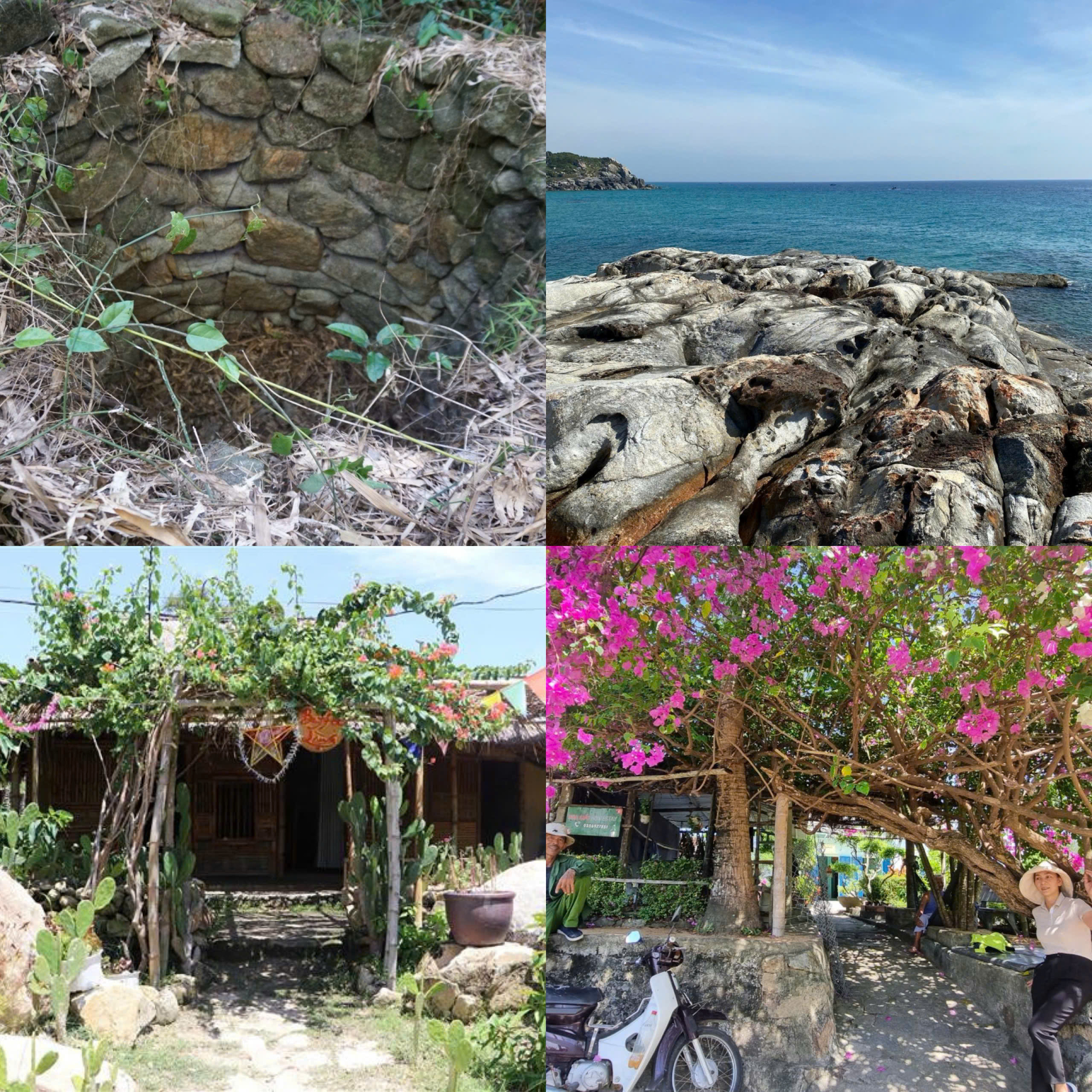 Ngôi làng nghìn năm tuổi ở Quảng Ngãi trở thành “điểm sáng” du lịch Việt Nam sau chương trình Gia đình Haha - ảnh 3
