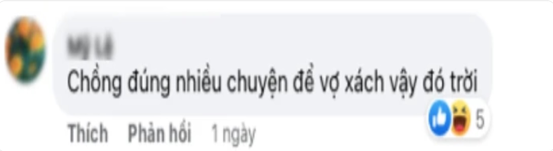 Lê Dương Bảo Lâm gây tranh cãi vì để vợ mang vác đồ nặng sau sinh mổ, còn mình thì chỉ đứng 'nhiều chuyện' - ảnh 5