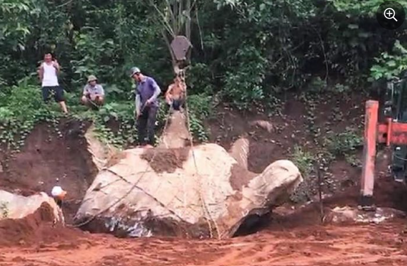 Xôn xao người đàn ông phát hiện tảng đá hình rùa lúc đào móng làm nhà, có người trả mua với giá 1 tỷ đồng? - ảnh 2