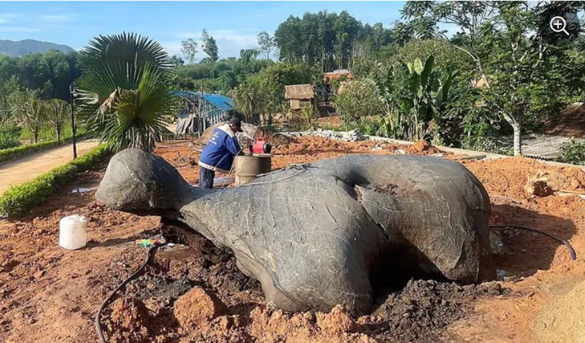 Xôn xao người đàn ông phát hiện tảng đá hình rùa lúc đào móng làm nhà, có người trả mua với giá 1 tỷ đồng? - ảnh 3