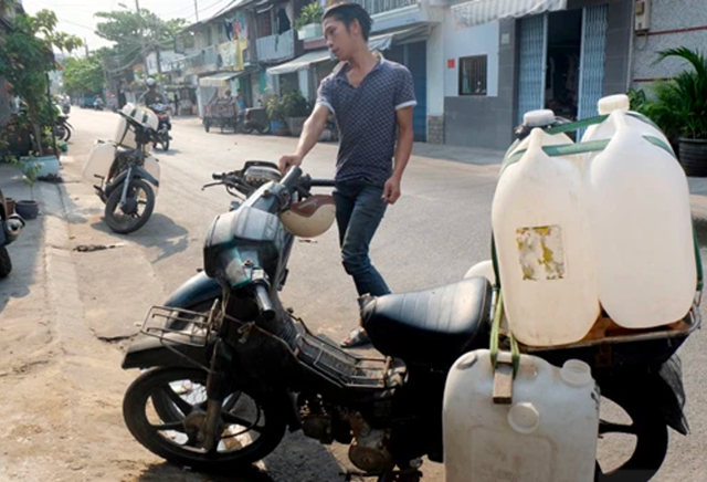 Ở Việt Nam có 5 nghề lạ mà không cần bằng: Ngồi im cho muỗi đốt nghe đã sợ, ngửi mít thuê thu nhập khủng - ảnh 5
