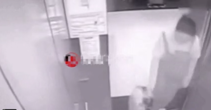 Kéo vali vào trong thang máy, người phụ nữ bị camera ghi lại tội ác đáng sợ - ảnh 1