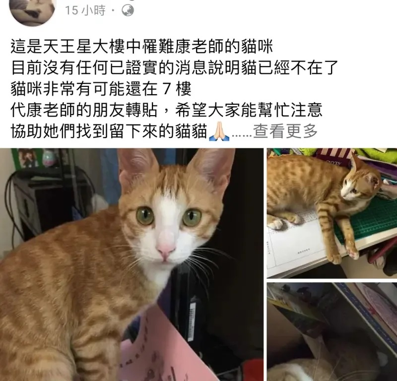 Cô giáo 32 tuổi qua đời thương tâm vì quay lại tòa nhà đổ sập để cứu chú mèo trong trận động đất Đài Loan - ảnh 5