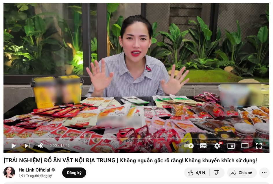 Võ Hà Linh vướng tranh cãi đăng tải video sử dụng đồ không rõ nguồn gốc trên Youtube - ảnh 1