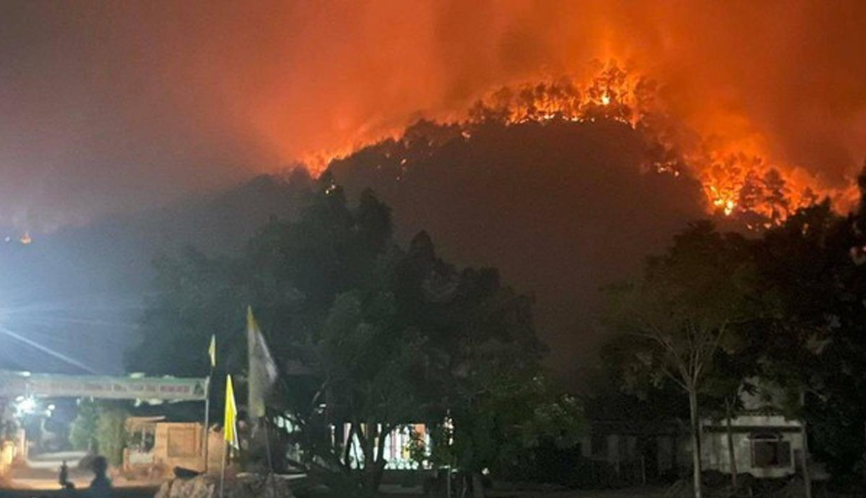 3000 người xuyên đêm dập lửa đám cháy rừng 10ha tại Nghệ An, nghi do có người vứt tàn thuốc lá - ảnh 2