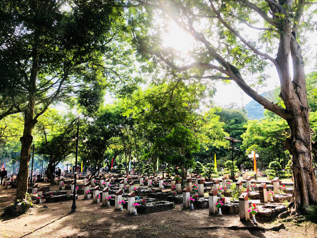 Chuyện tâm linh kỳ lạ tại nghĩa trang Hàng Dương Côn Đảo, khi ca sĩ đang hát tri ân các anh hùng liệt sĩ - ảnh 2