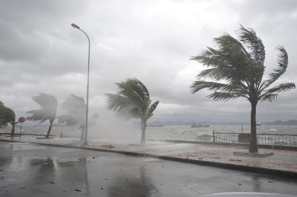 Các tỉnh Nam Bộ và Tây Nguyên ảnh hưởng thế nào từ bão Doksuri, cảnh báo mưa dông trên diện rộng? - ảnh 2