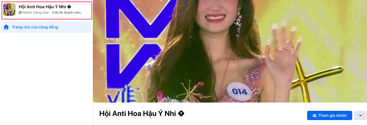 Hơn 200.000 người phản đối, Hoa hậu Ý Nhi có nên đáp trả 'anti fan' như cách mà Hoa hậu Hương Giang từng làm? - ảnh 2