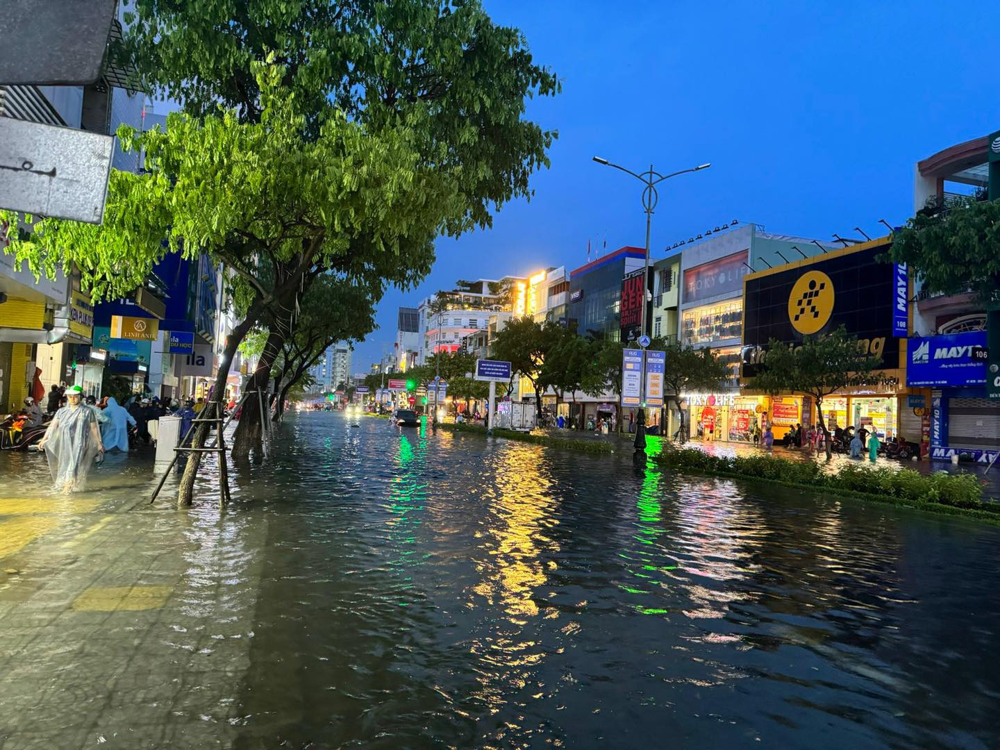 Nâng cảnh báo rủi ro mưa lũ ở Đà Nẵng, Thừa Thiên - Huế lên mức cao nhất, đã có 2 người thiệt mạng - ảnh 1