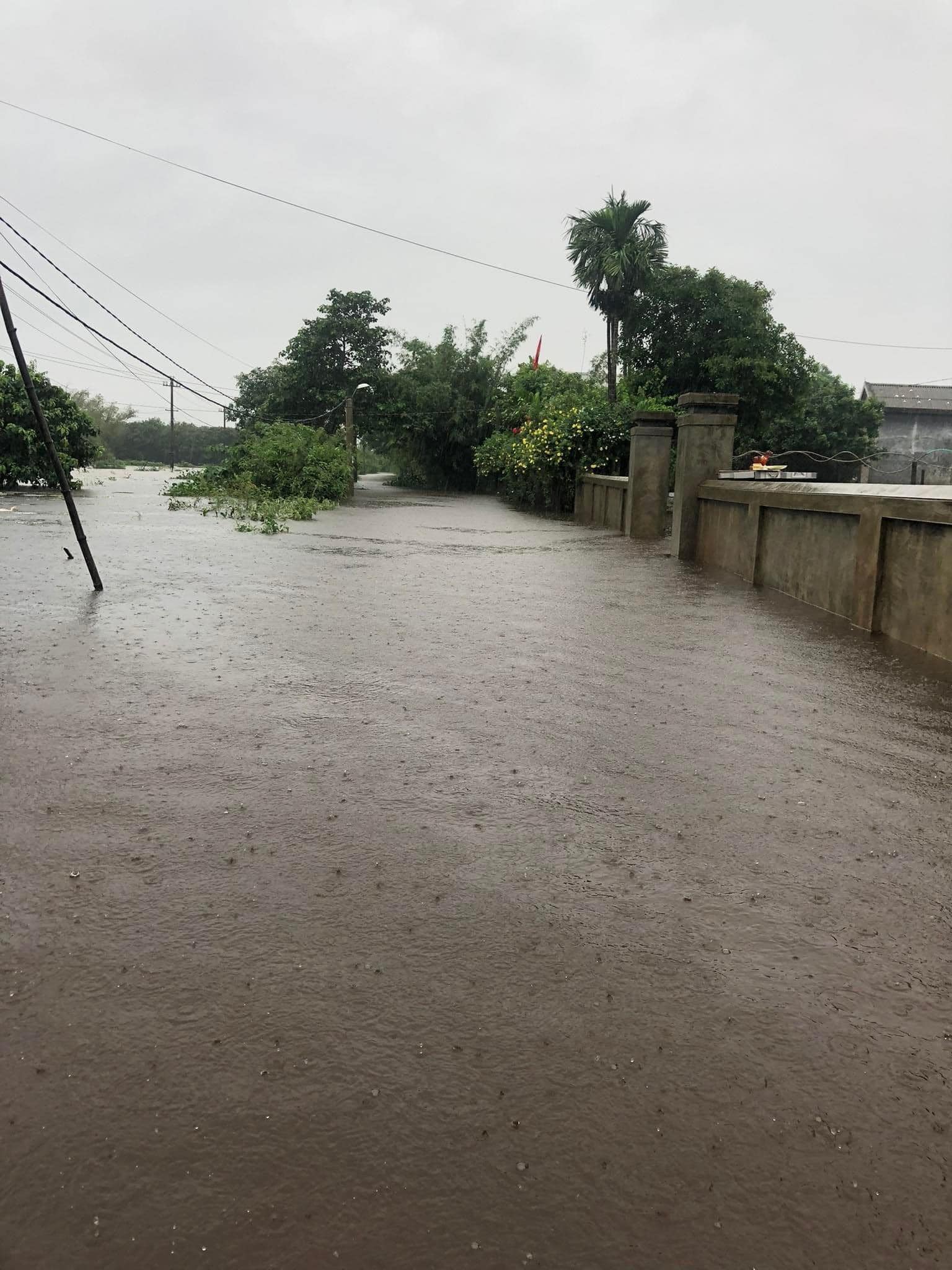 Nâng cảnh báo rủi ro mưa lũ ở Đà Nẵng, Thừa Thiên - Huế lên mức cao nhất, đã có 2 người thiệt mạng - ảnh 3