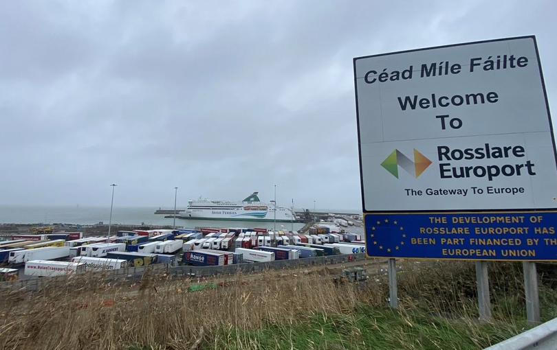 Phát hiện 3 người Việt trong container đông lạnh 'nhập cư lậu' vào Ireland - ảnh 2